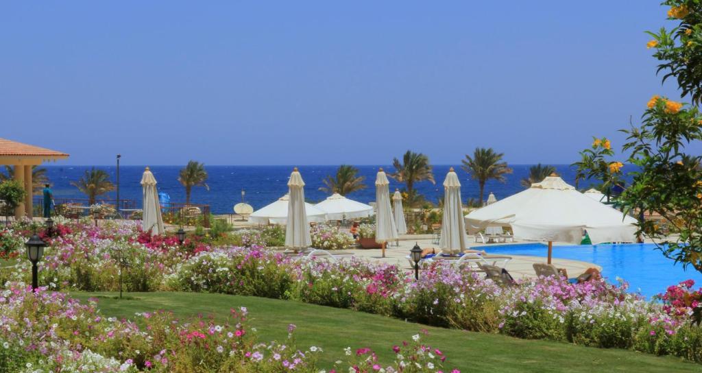 Royal Brayka Beach Resort Abu Dabab Ngoại thất bức ảnh