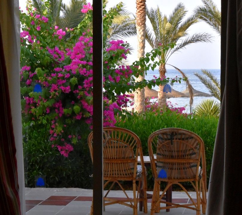 Royal Brayka Beach Resort Abu Dabab Ngoại thất bức ảnh